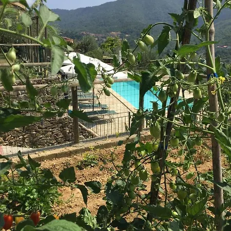 Agriturismo I Re Fenean Dom wakacyjny Garlenda
